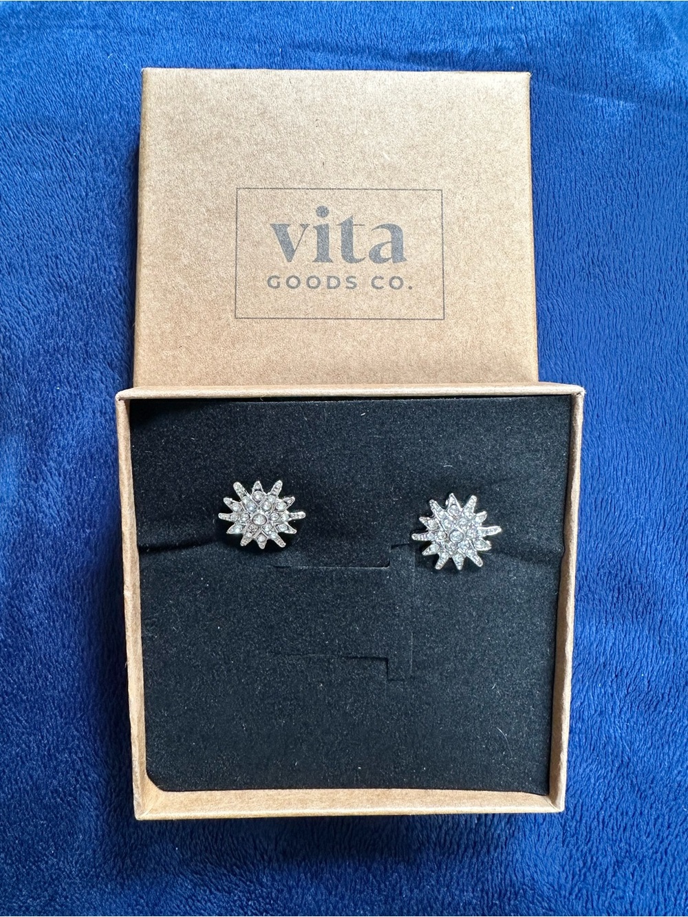 Vita Goods Co. Sparkling Sunburst Stud Earrings - Silver